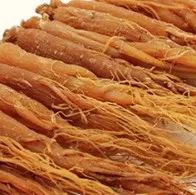 A Brief Discussion on Ginseng