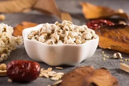 The Efficacy and Consumption Methods of Coix Seed (Yi Yi Ren)