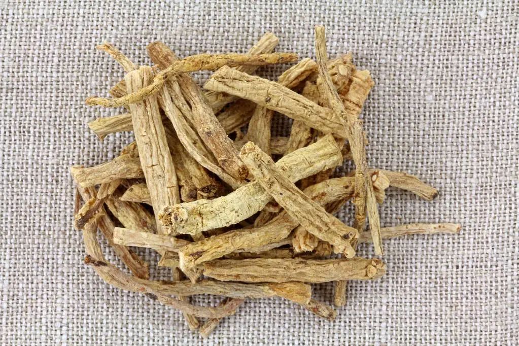 The Efficacy and Functions of Codonopsis (Dang Shen): Daily Use for Qi and Blood Nourishment