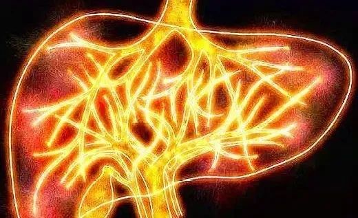 Key Strategies in Traditional Chinese Medicine for Preventing and Treating Insomnia