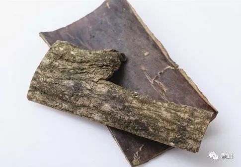Causes and Symptoms of Kidney Yang Deficiency: What TCM Yang-Replenishing Herbs Are Available?