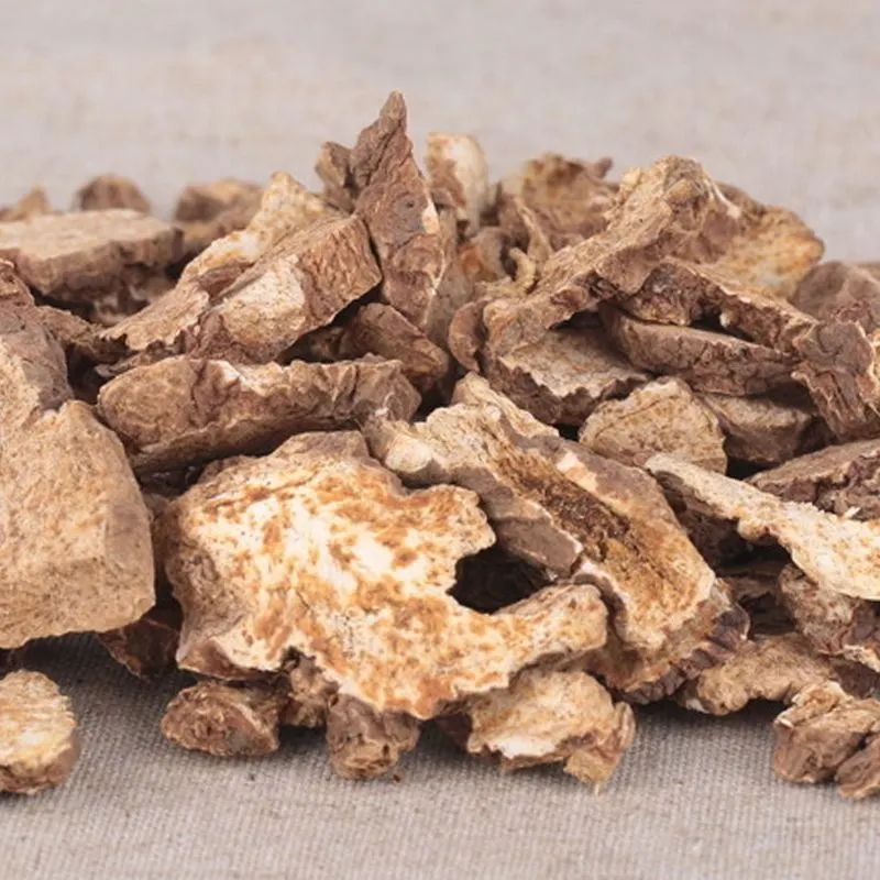 Traditional Chinese Medicine: Essential Knowledge About Cang Zhu (Atractylodes)