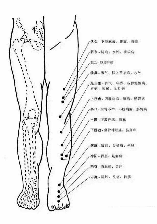 Comprehensive Human Acupuncture Points Chart and Their Functions (A Must-Bookmark)