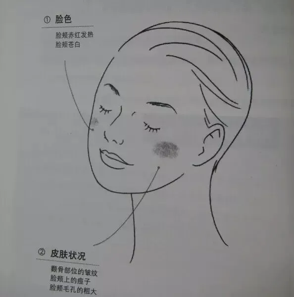 Essential Guide to TCM Observation Diagnosis