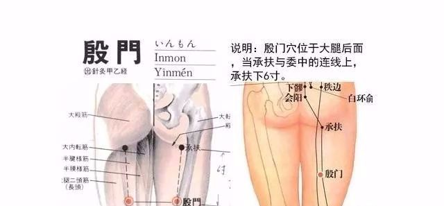 50 Common Acupuncture Points for Treating Various Ailments