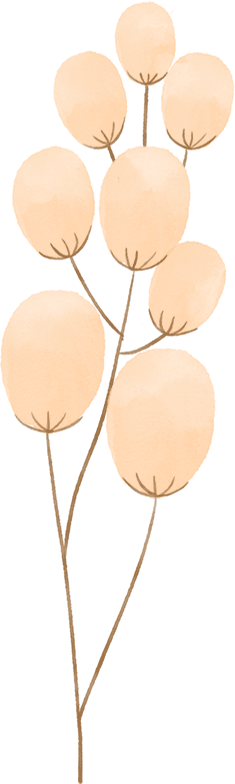 Medicinal and Edible Properties of Coix Seed
