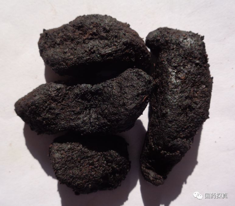 Special Appreciation of Cooked Rehmannia