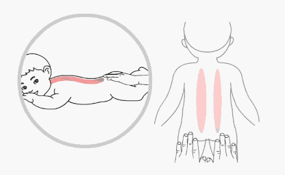 Understanding Spleen Deficiency in Children: Spleen Qi Deficiency, Spleen Yang Deficiency, and Spleen Yin Deficiency