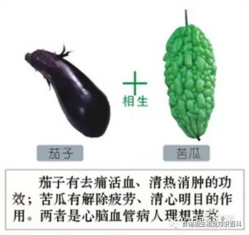 A Comprehensive Guide to Complementary and Contradictory Foods in TCM