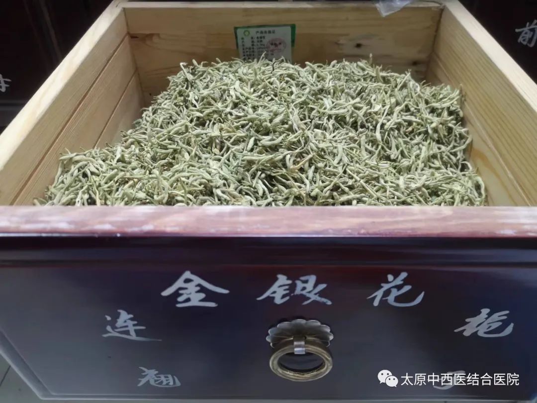 Honeysuckle: A Traditional Chinese Medicine Perspective