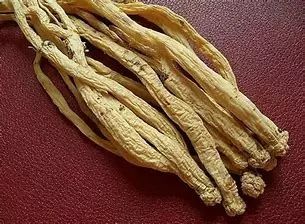 Effects and Contraindications of Codonopsis (Dang Shen) in Traditional Chinese Medicine