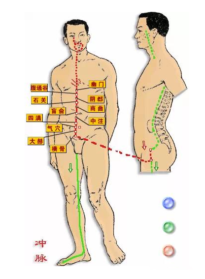 Comprehensive Summary of the Eight Extraordinary Meridians and Their Functions