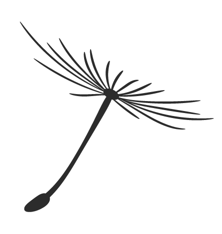 Angelica Sinensis: A Vital Herb in Traditional Chinese Medicine