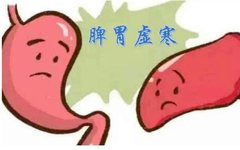 The Dangers of Spleen and Stomach Yang Deficiency: Don't Miss the Opportunity for Winter Nourishment