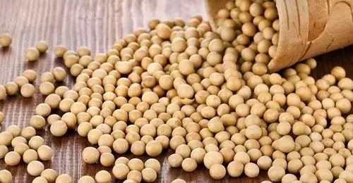 The Health Benefits of Consuming Grains