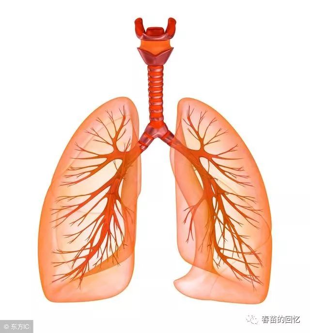 TCM Deficiency Syndromes: Yin Deficiency and Clinical Manifestations