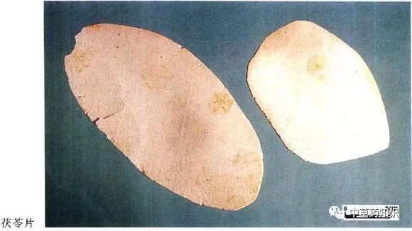 Traditional Chinese Medicine Herb: Fu Ling (Poria)