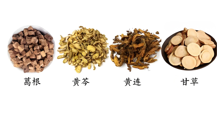 Ge Gen Huang Qin Huang Lian Decoction: The 'Emergency Team' for the Gastrointestinal System