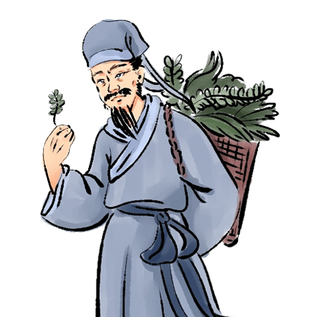 Astragalus: The Herb of Vitality