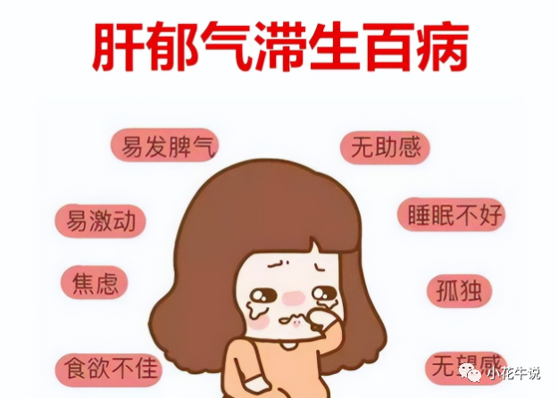 A Comprehensive Guide to Treating Liver Qi Stagnation with Si Ni San