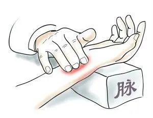 Traditional Chinese Medicine Diagnosis - Pulse Diagnosis