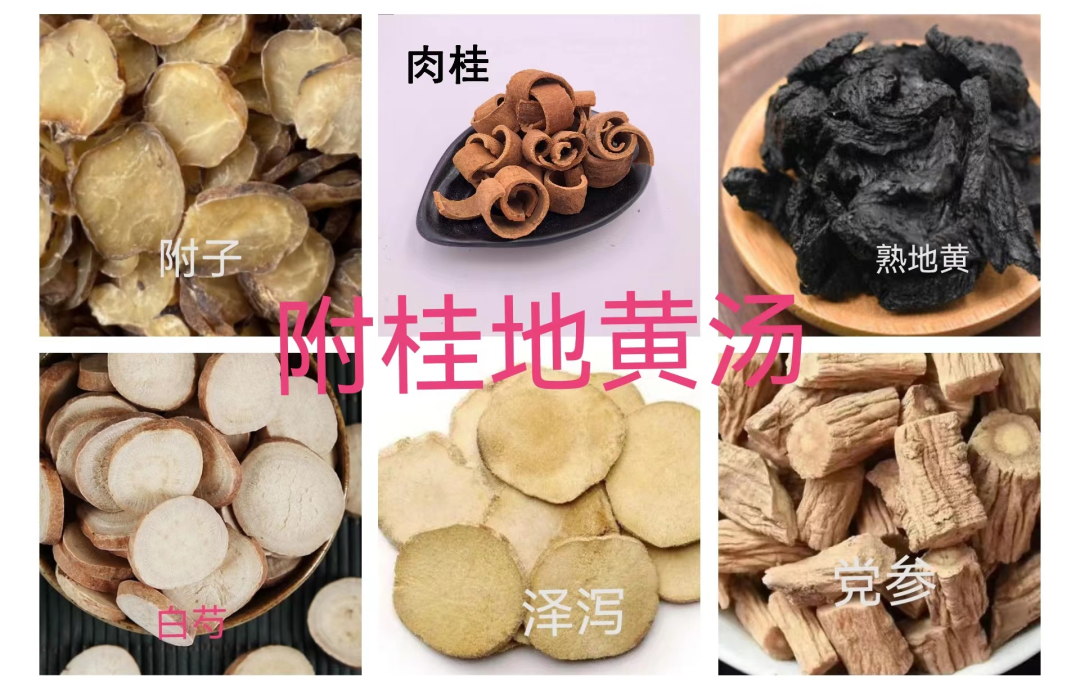 How to Differentiate Between Kidney Yin Deficiency, Kidney Yang Deficiency, and Kidney Essence Deficiency Based on Symptoms?