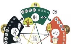 Ni Haixia Discusses the Characteristics of Disease Caused by the Seven Emotions