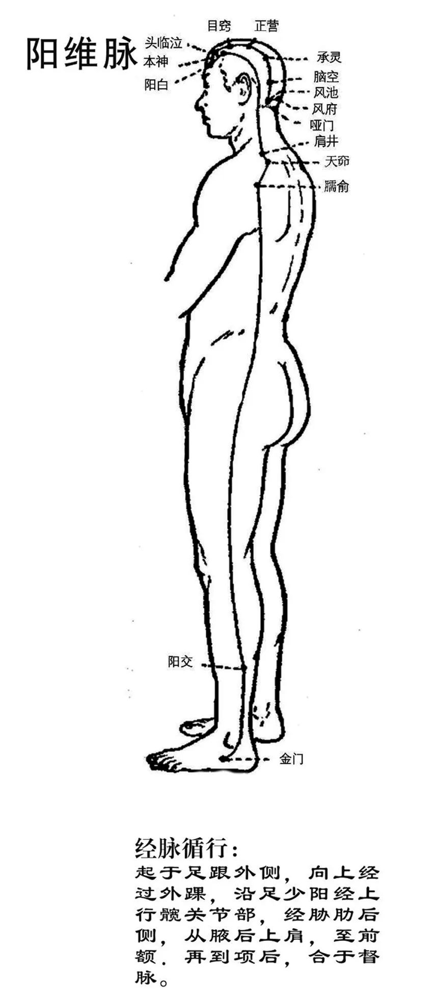 Exploring the Health Principles of Baduanjin through the Theory of the Eight Extraordinary Meridians