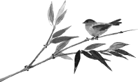 Understanding Fire Needle Therapy in Traditional Chinese Medicine