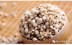 The Door to Qi Transformation in Cold Damage: Coix Seed (Yi Yi Ren)