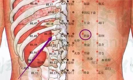 50 Common Acupuncture Points for Treating Various Ailments
