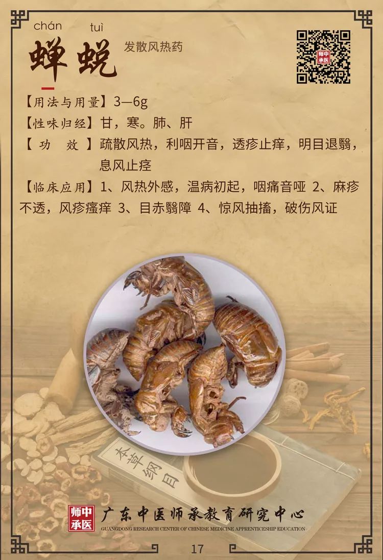 Traditional Chinese Medicine Insights: Differentiating Between Wind-Cold and Wind-Heat in Common Colds