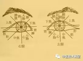 Observational Diagnosis in Traditional Chinese Medicine