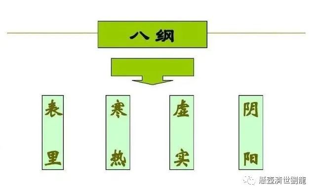 Analysis and Summary of the Eight Principles in TCM Diagnosis