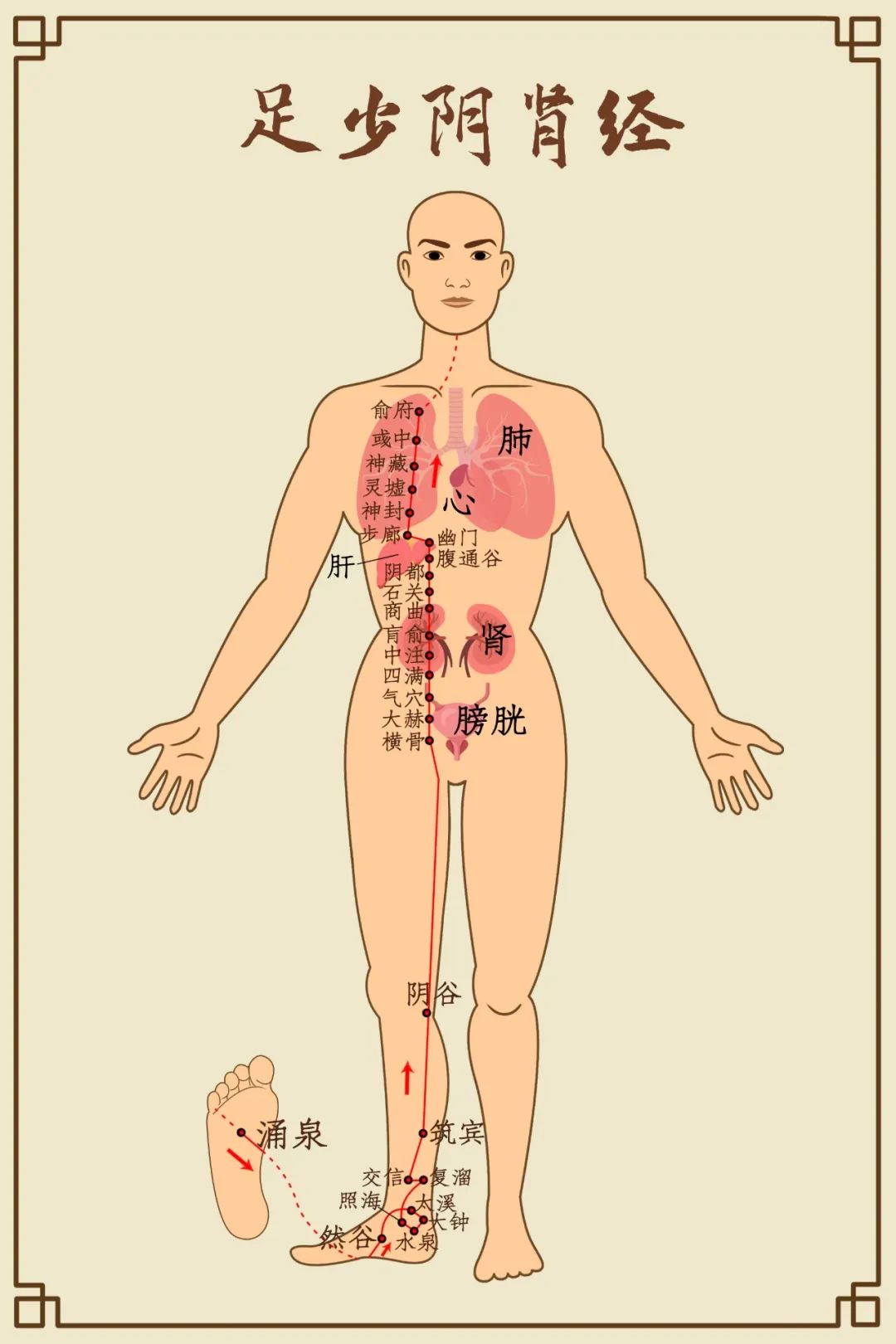 Comprehensive Diagram of Human Meridians (Recommended for Collection)