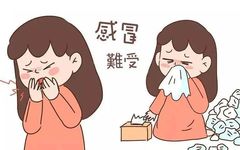 Luo Dalun: It is Incorrect to Classify Colds as Wind-Cold or Wind-Heat