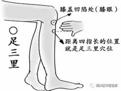 Understanding TCM Body Constitutions: Qi Deficiency
