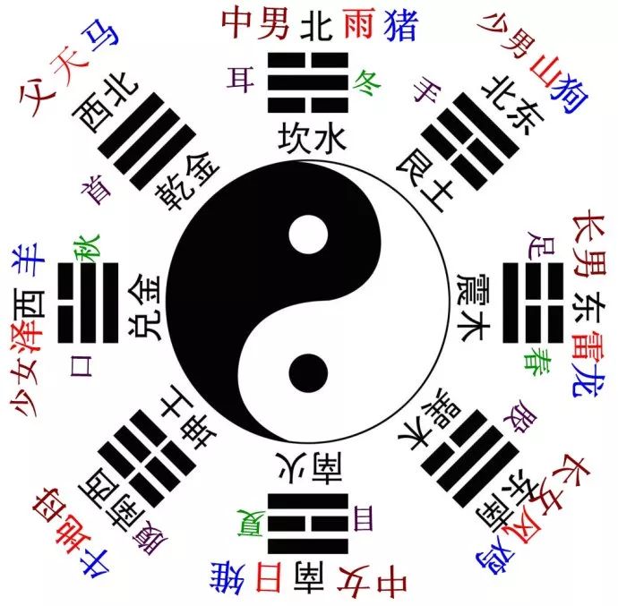 The Interactions of the Twelve Zodiac Signs: A Timeless Guide