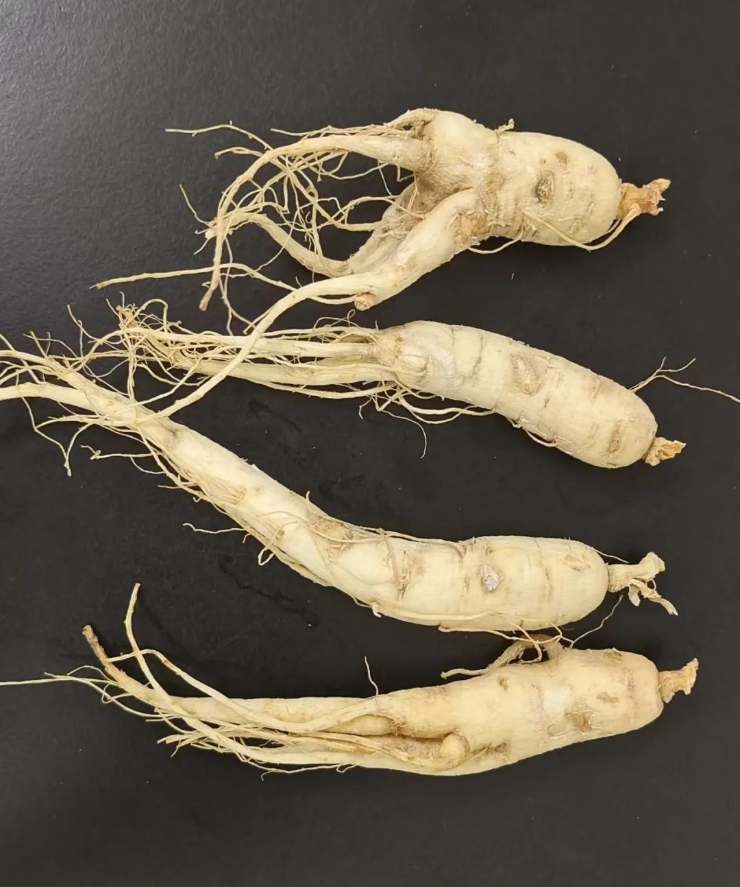 Understanding a Chinese Herbal Medicine Each Day: Ginseng