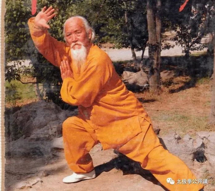 The 23 Palm Techniques of Tai Chi: Infinite Benefits After Mastery!