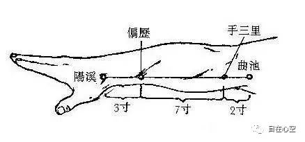 The Fifteen Collaterals in Traditional Chinese Medicine