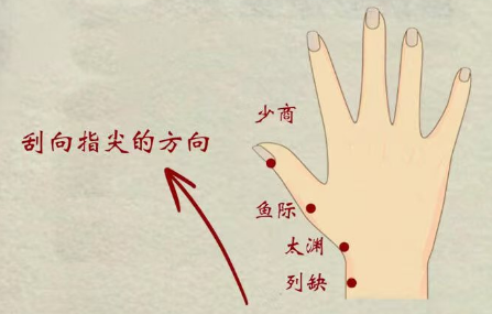 Traditional Chinese Medicine: The Five Organs and Six Bowels on Your Hands - Daily Gua Sha for Health