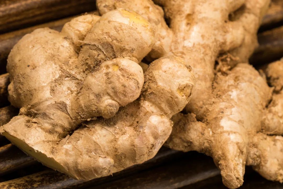 Understanding the Differences Between Fresh Ginger, Dried Ginger, and Galangal