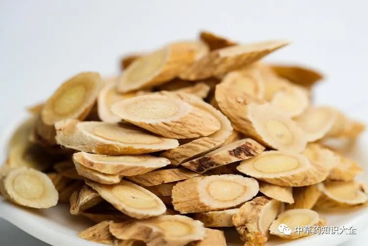 Traditional Chinese Medicine Herb: Huang Qi (Radix Astragali)