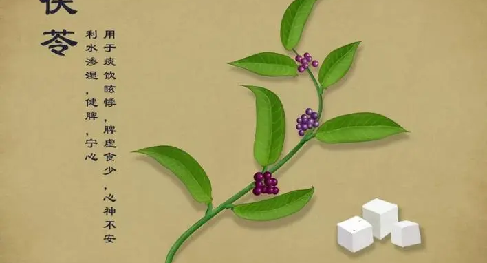 The Marvelous Source of Natural Whitening: Fu Ling (Poria)