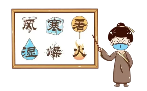 Understanding Dampness in Traditional Chinese Medicine: Effective Methods to Eliminate Dampness