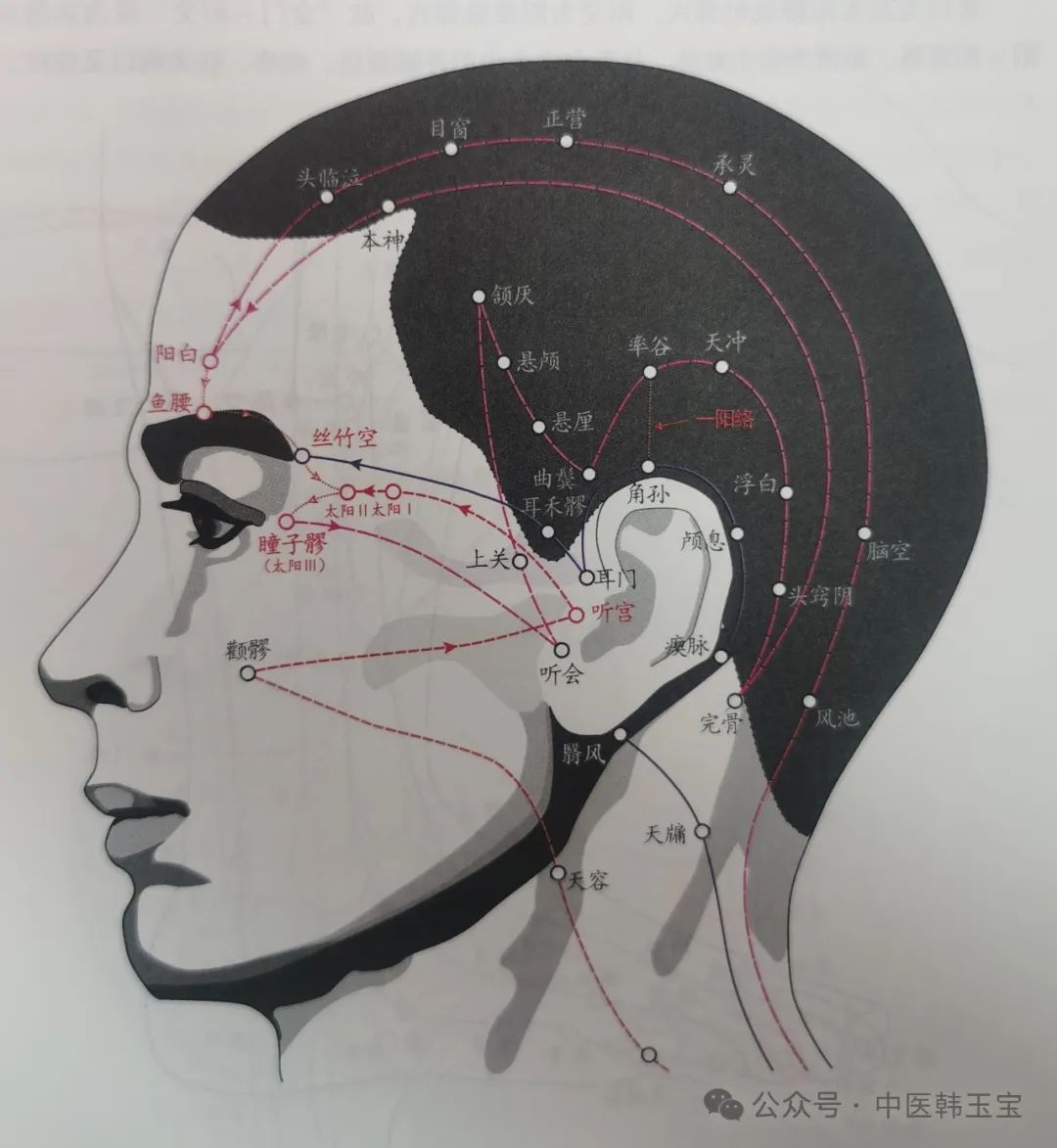 Meridian Studies I: Wu Men Meridian and Tai Yang Meridian