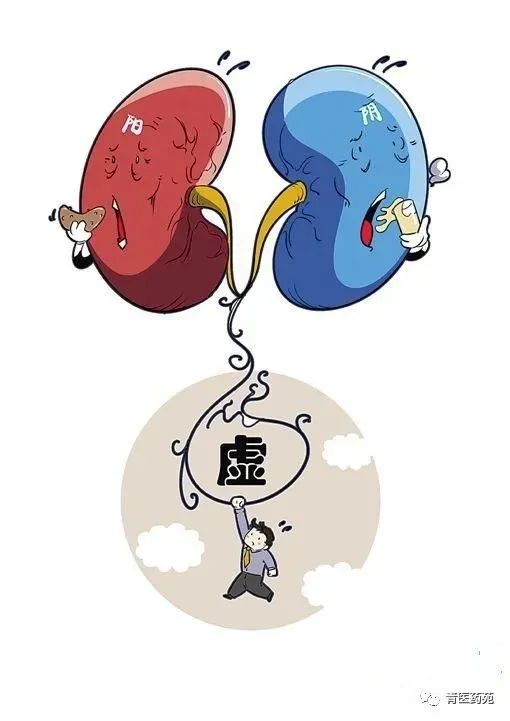 Definition, Symptoms, Treatment Principles, and Basic Formulas for Kidney Yang Deficiency