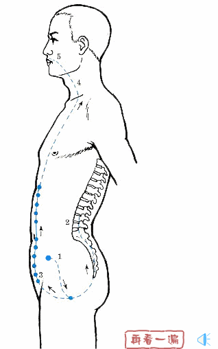 Detailed Explanation of the Eight Extraordinary Meridians