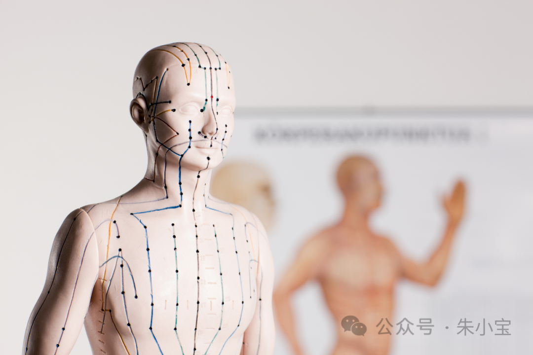Acupuncture Practice: A Detailed Discussion on Luo Vessels